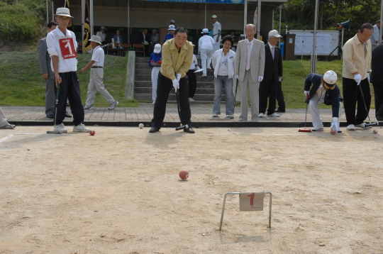 제18회 강릉시 게이트볼  협회장기 게이트볼 대회(2008.9.11) 대표이미지